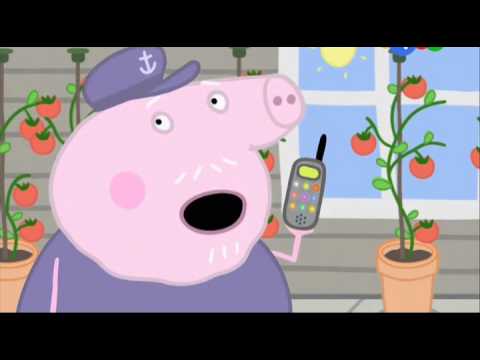 Мультик Свинка Пеппа. Чемпион папа Свин (Champion Daddy Pig) - Сезон 3, серия 41.