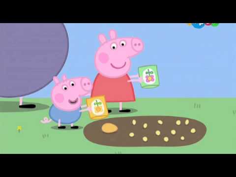 Мультик Свинка Пеппа. Садик Пеппы и Джорджа (Peppa and George's Garden) - Сезон 4, серия 12.