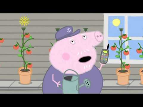 Peppa Pig Season 3 Episode 41   Champion Daddy Pig