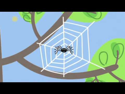 Peppa Pig Season 4 Episode 22 Spider Web