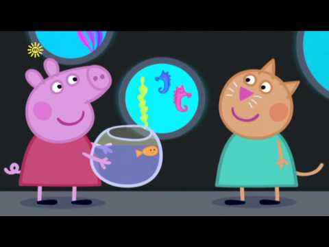 Peppa Pig Season 4 Episode 31 The Aquarium